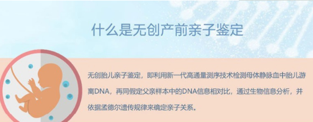 湖南怀孕了如何做DNA鉴定,湖南办理怀孕亲子鉴定办理的条件